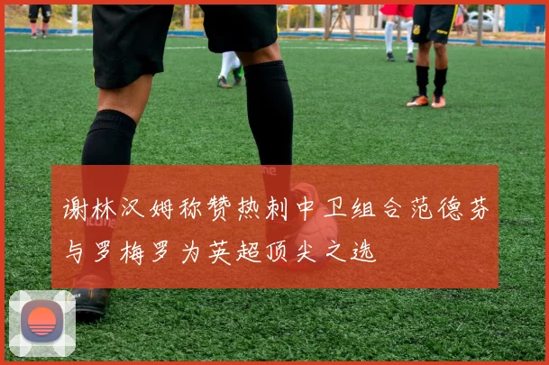 谢林汉姆称赞热刺中卫组合范德芬与罗梅罗为英超顶尖之选