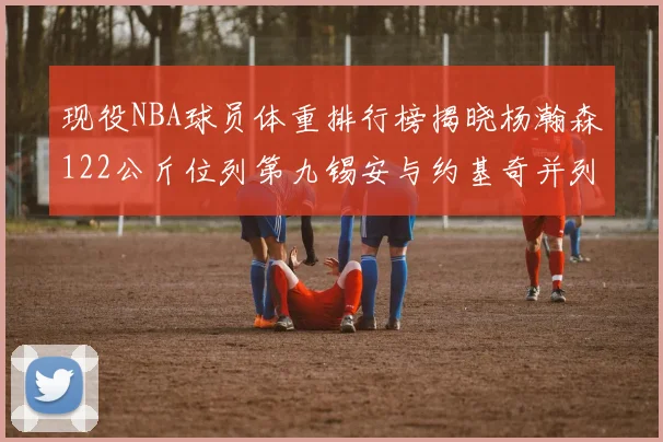 现役NBA球员体重排行榜揭晓杨瀚森122公斤位列第九锡安与约基奇并列第三