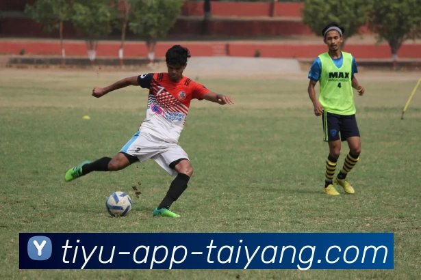 太阳城APP 封面图